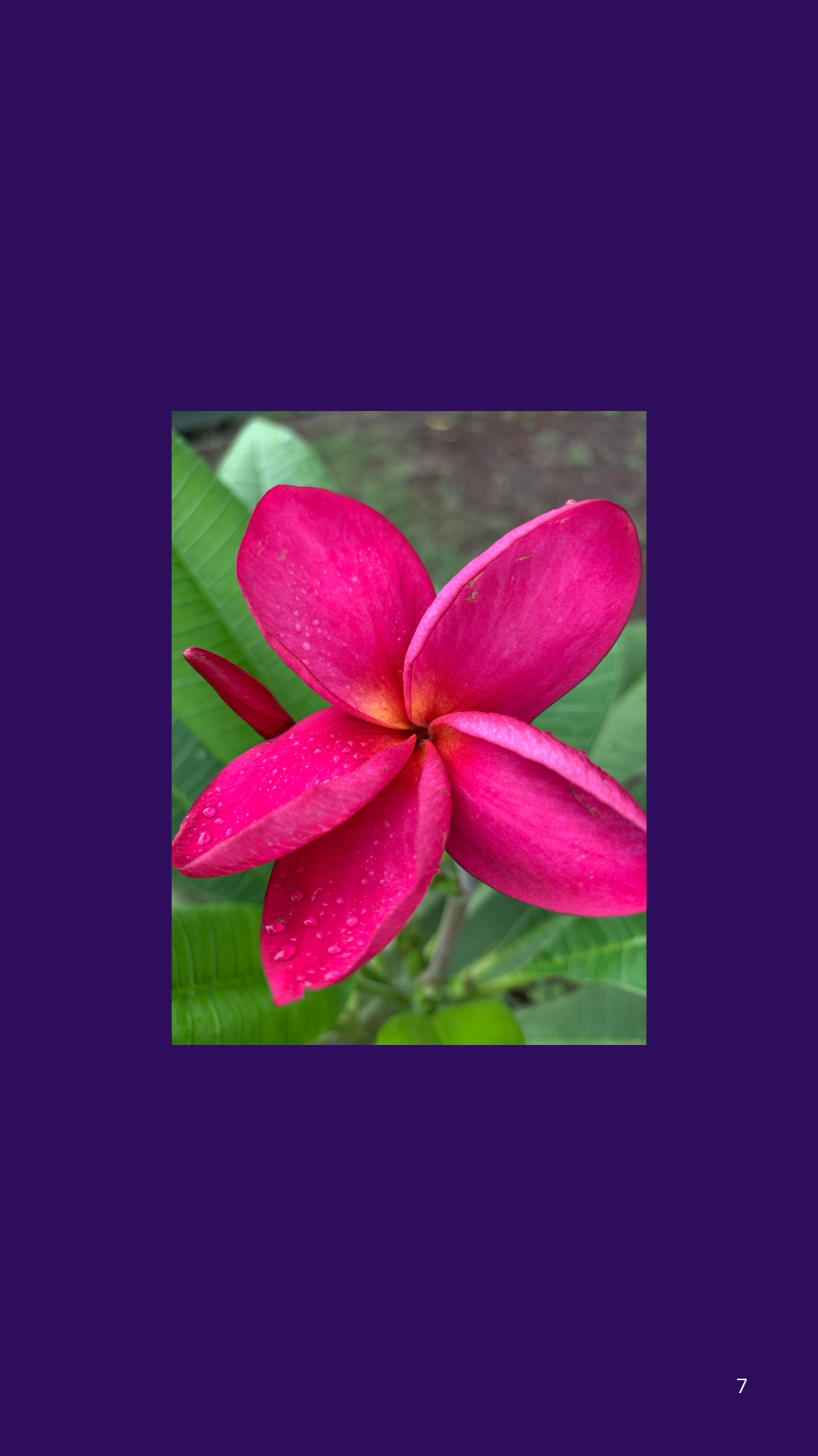 Ebook